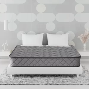 Kurlon Klassic Popular Coir Mattress